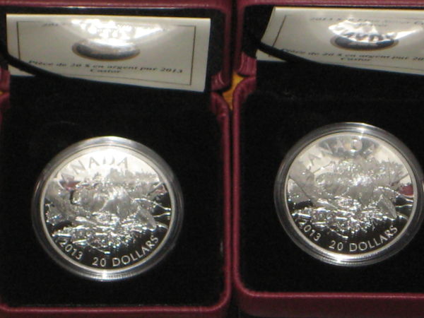 My-NCLT-Collection