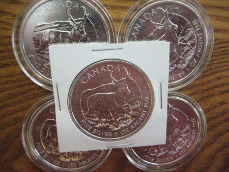 My-NCLT-Collection