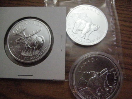 My-NCLT-Collection