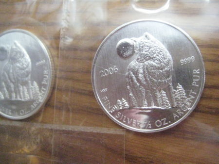 My-NCLT-Collection