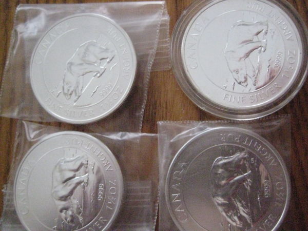 My-NCLT-Collection