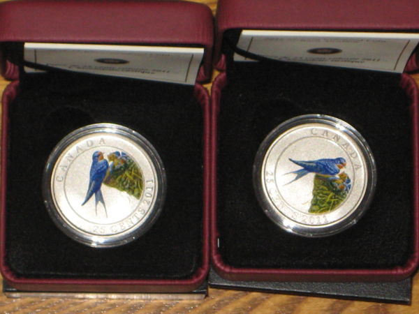 My-NCLT-Collection