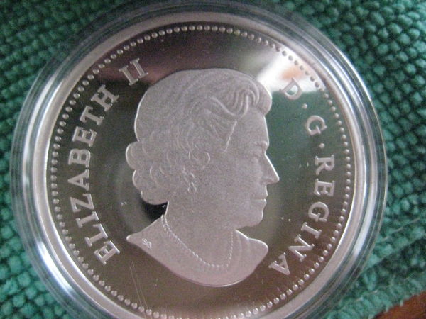 My-NCLT-Collection
