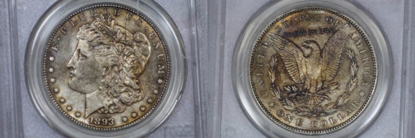 Education-On-Fake-Coins