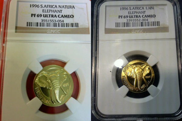 Education-On-Fake-Coins
