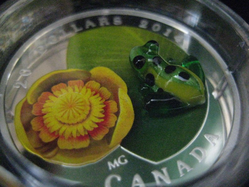 My-NCLT-Collection