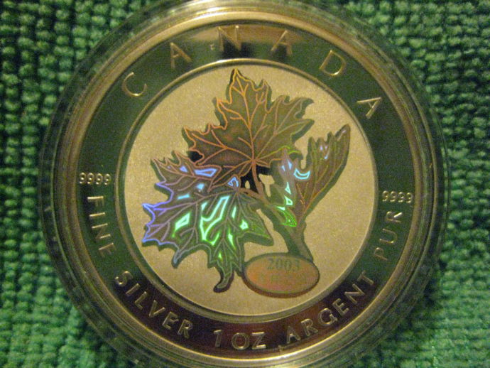 My-NCLT-Collection