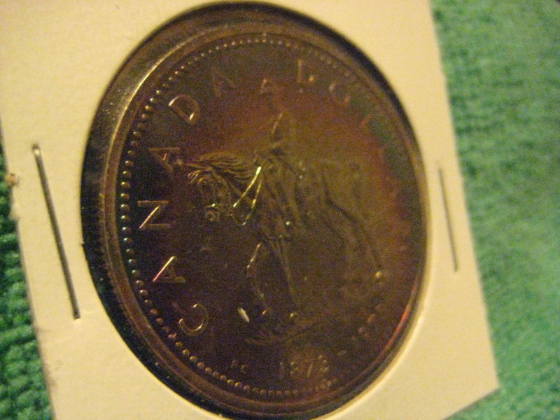 My-NCLT-Collection