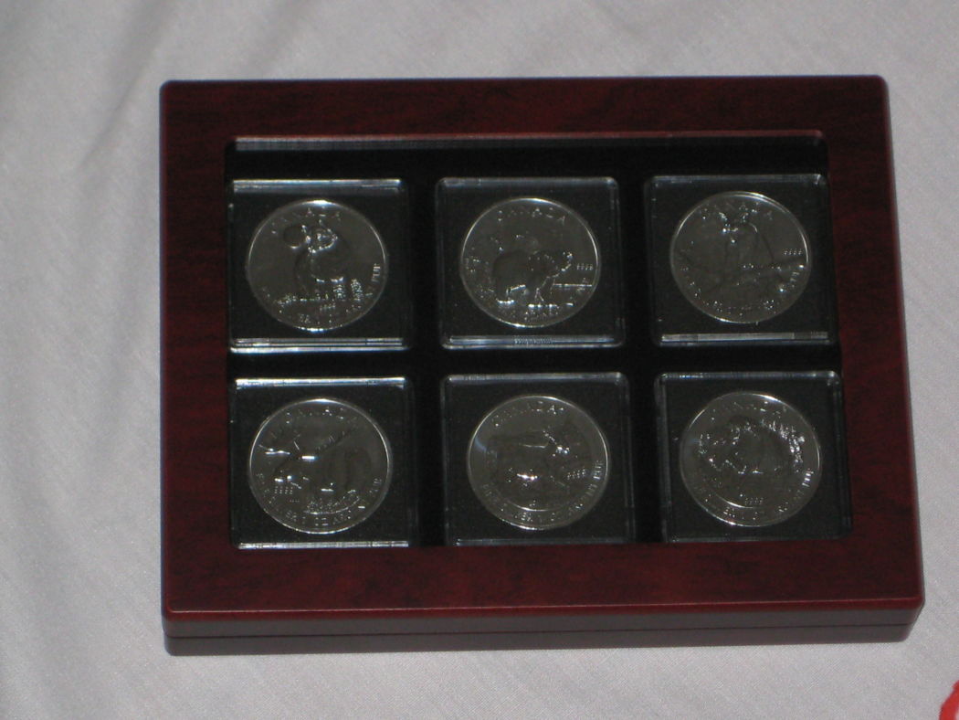 My-NCLT-Collection