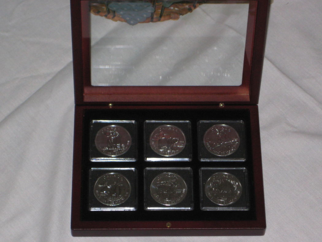 My-NCLT-Collection