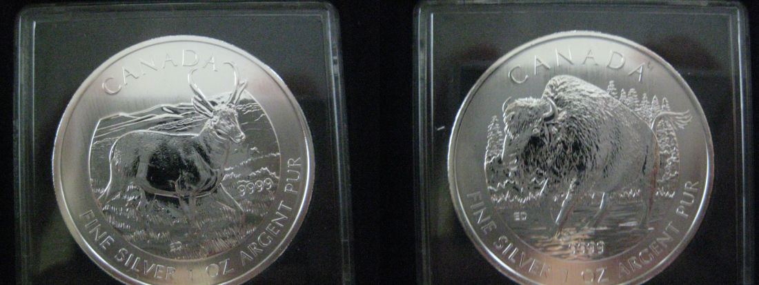 My-NCLT-Collection