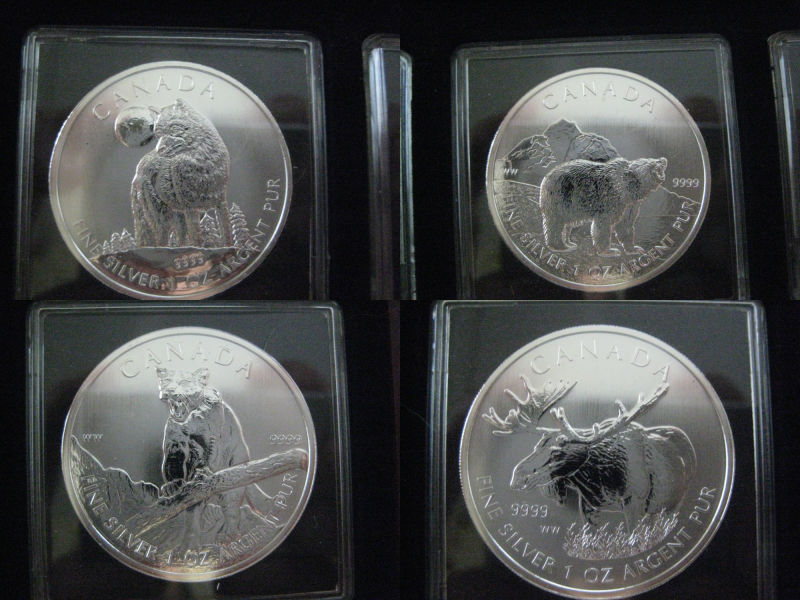 My-NCLT-Collection