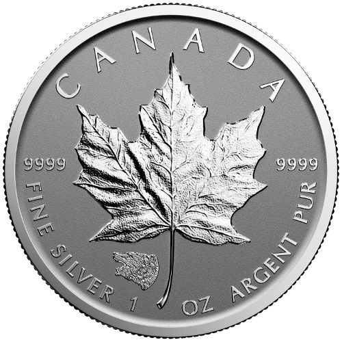 Yet-Another-Privy-Maple:-Grizzly-Bear