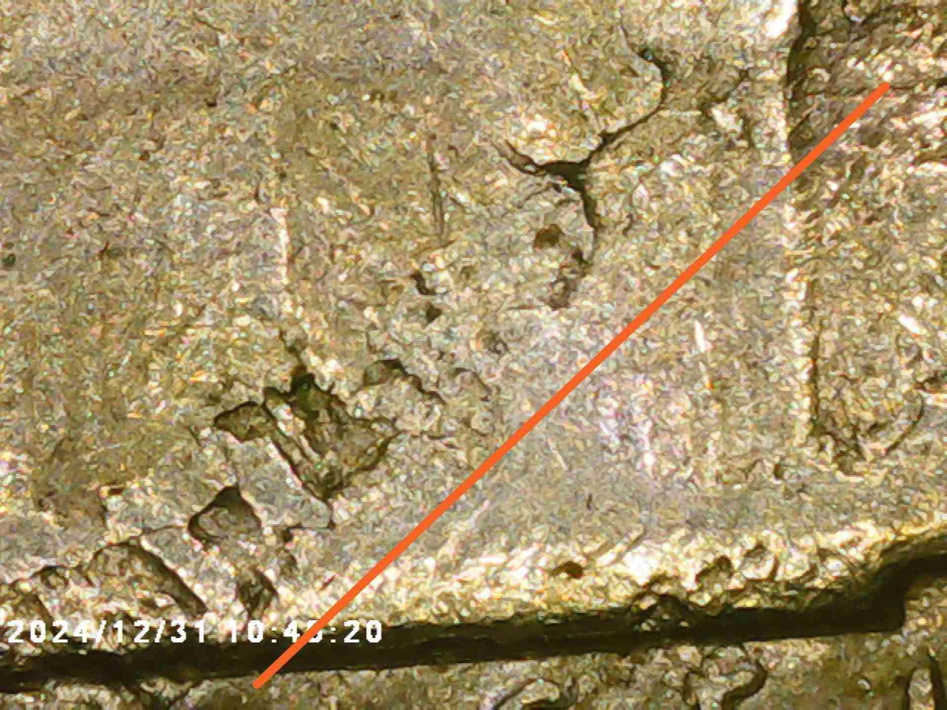 1959-D-Jefferson-Nickel