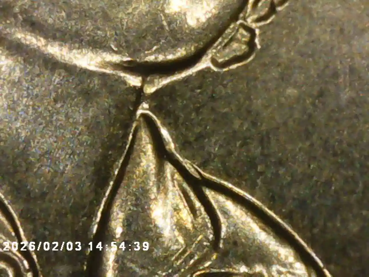 Yldcoin's-Quarter-Roll-Finds