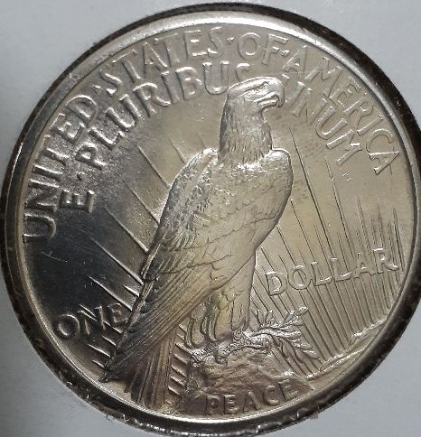 1921-Peace-Dollar-From-Local-Coin-Show