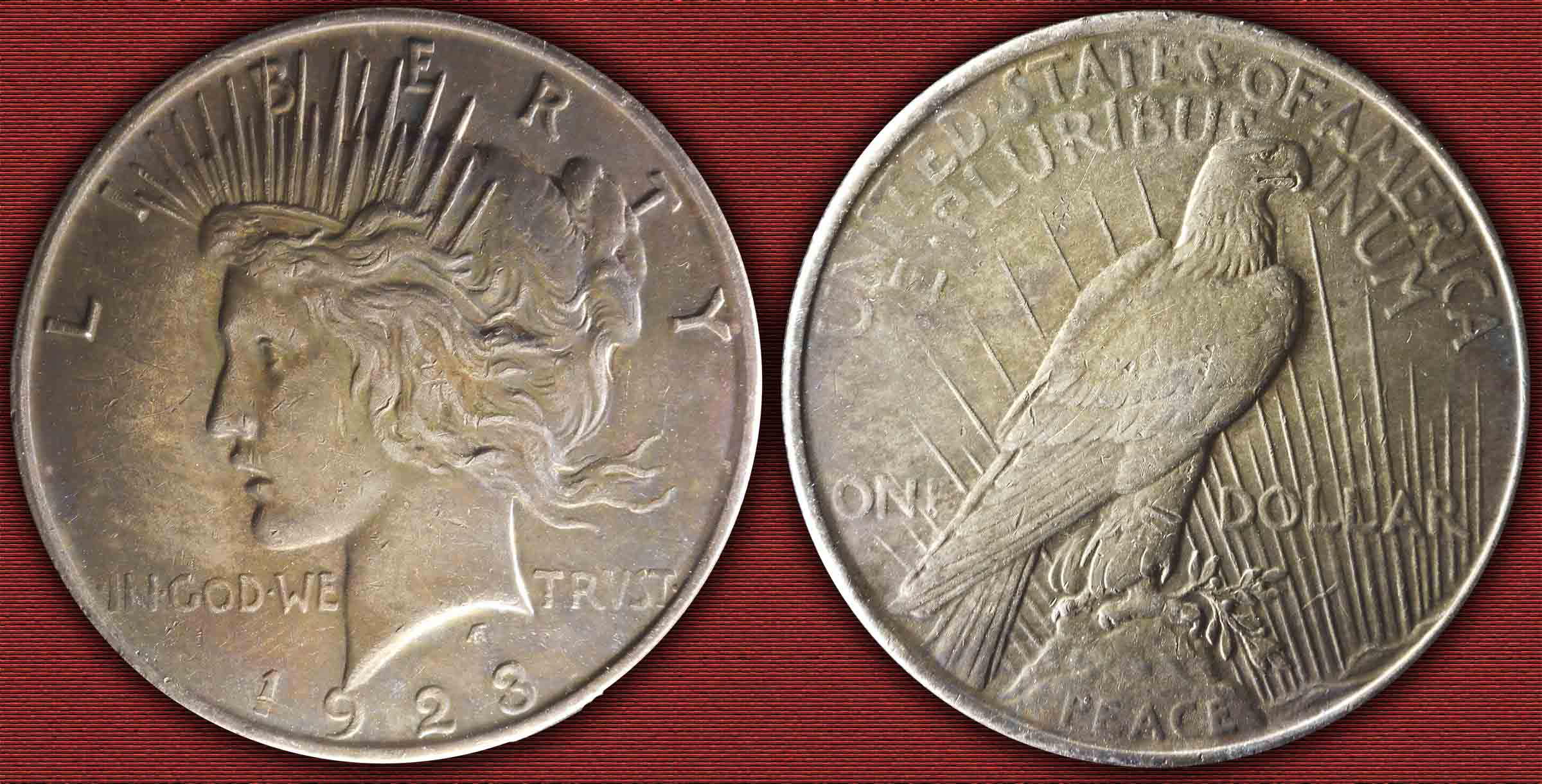 1923P-Peace-Dollar-Reverse-Die-Gouge---New-Camera!