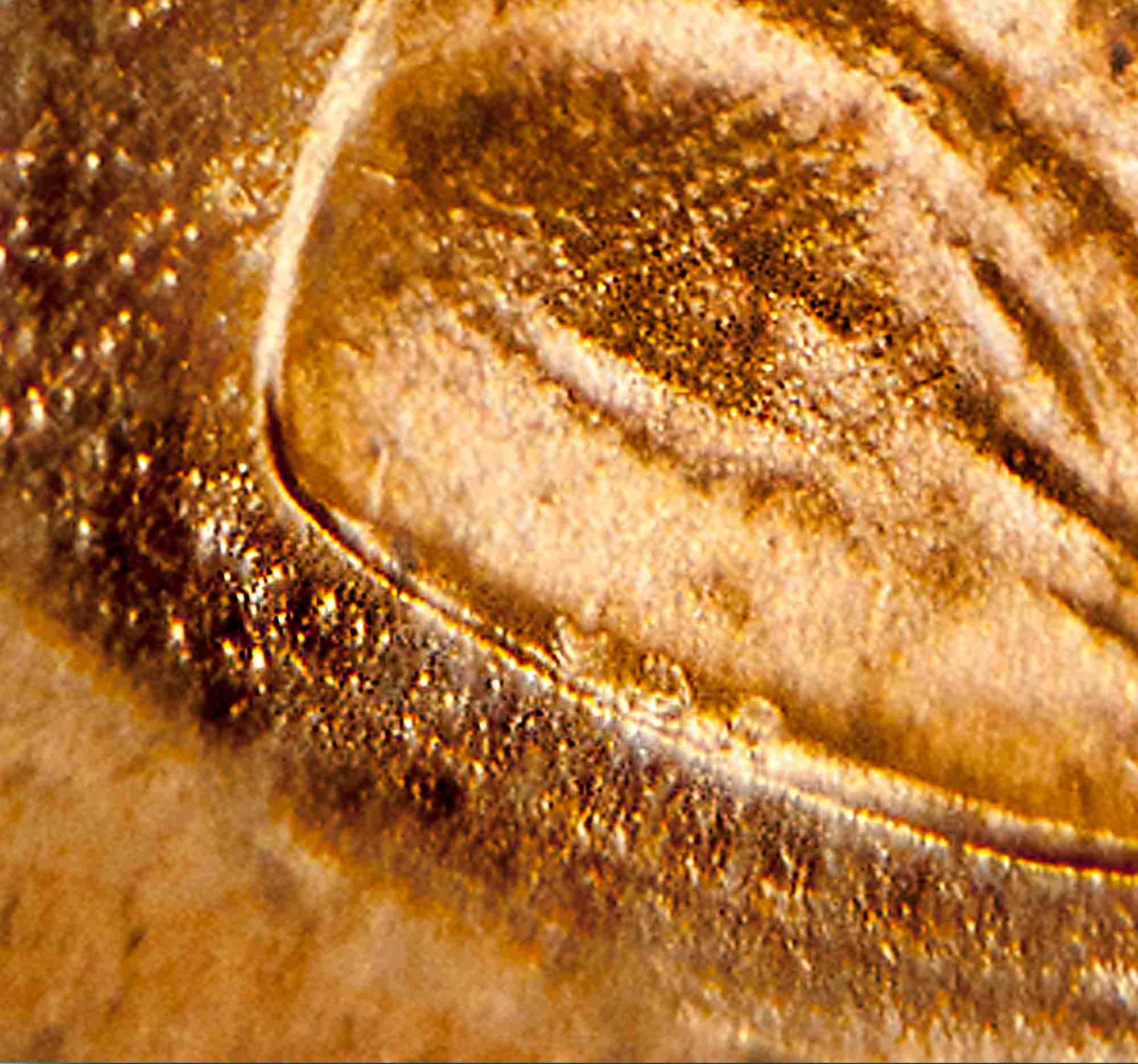 1999-20%-Off-Center-Cent-With-Pareidolia-Inducing-Metal-Flow