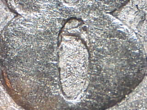 New-Brunswick-20-Cents-With-Strongly-Repunched-8.--Some-Help-Here?