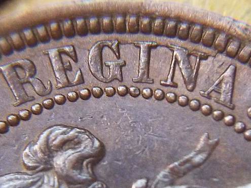 Yestersay's-New-Find.-An-1881-Oc-1--Double-Die
