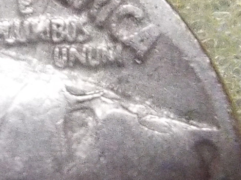 Buffalo-Nickels-With-Lip-Problems---Check-Out-My-Oddball-Pictures-Wierd-!