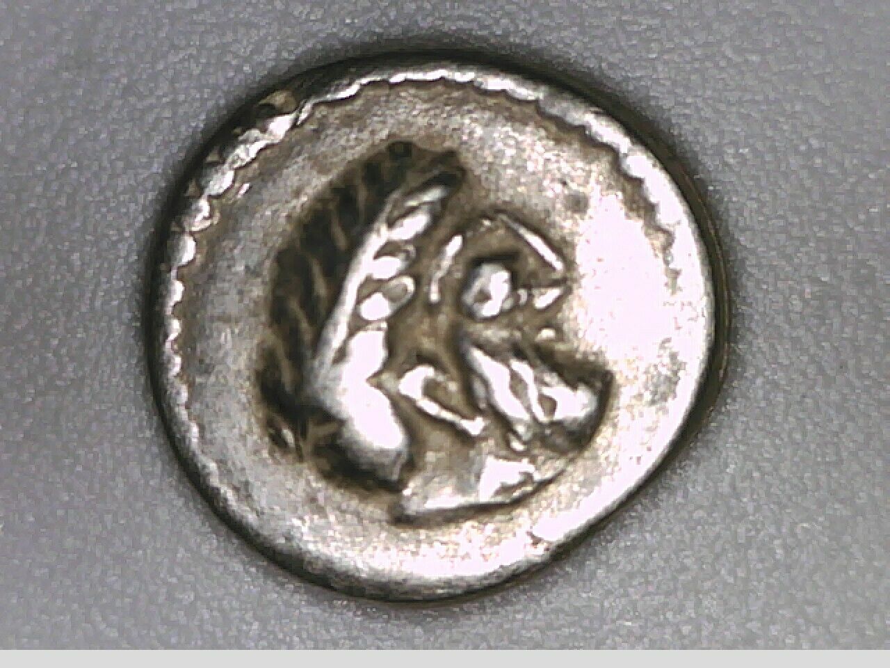 Is-This-Coin-From-Philistia