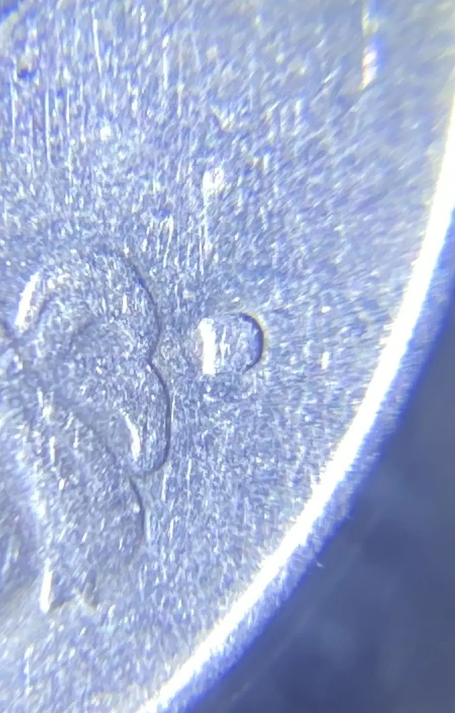 1979-D-Quarter:-Help-Identifying-Errors