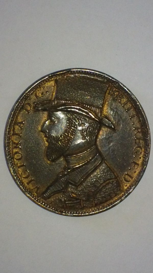 1881-Penny-Query
