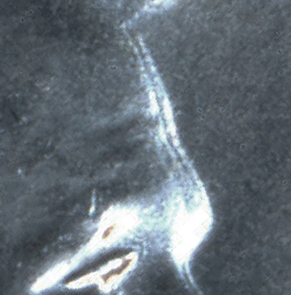1943-Wheat-Triple-Die-Obv
