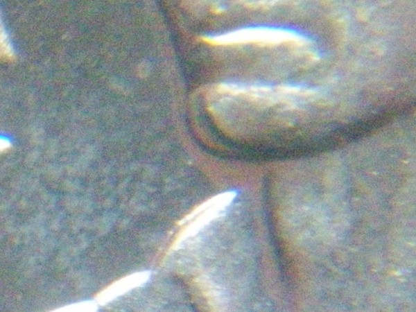 Most-Errors-I-Have-Seen-On-One-Coin