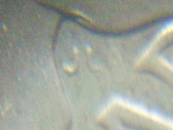 Most-Errors-I-Have-Seen-On-One-Coin