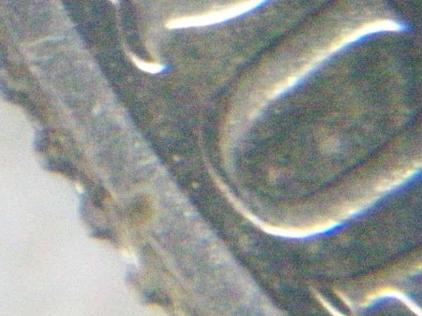 Most-Errors-I-Have-Seen-On-One-Coin