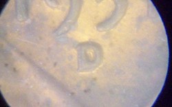 1951-D-RPM