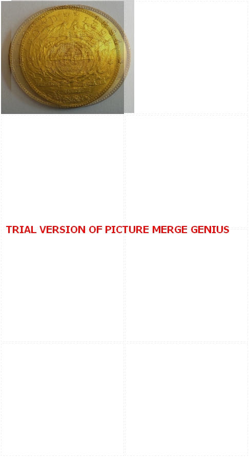Superimpose-Coins-To-Identify-Fake