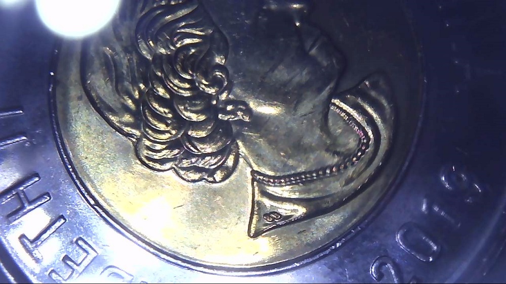 2019-Toonie-With-Clump-Back-Of-Queens-Hair