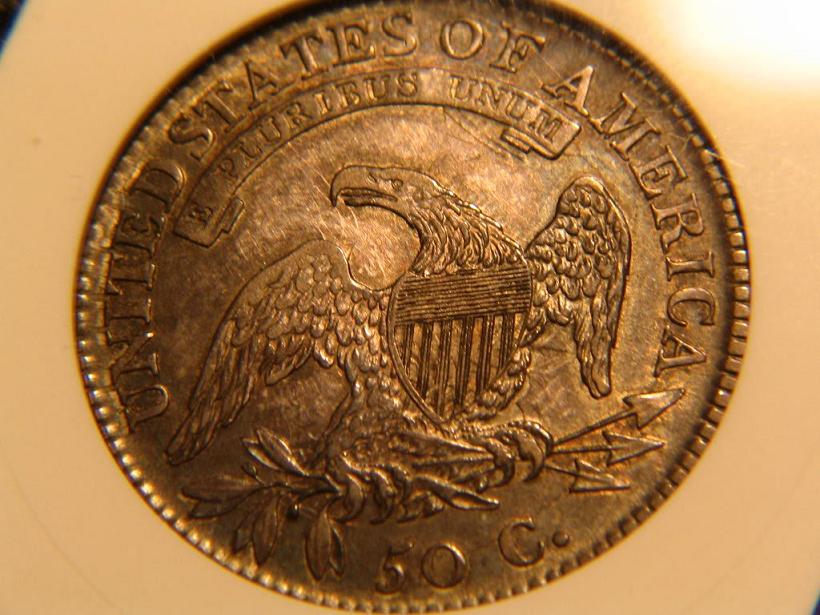 32-Days-Of-Capped-Bust-Half-Dollars!