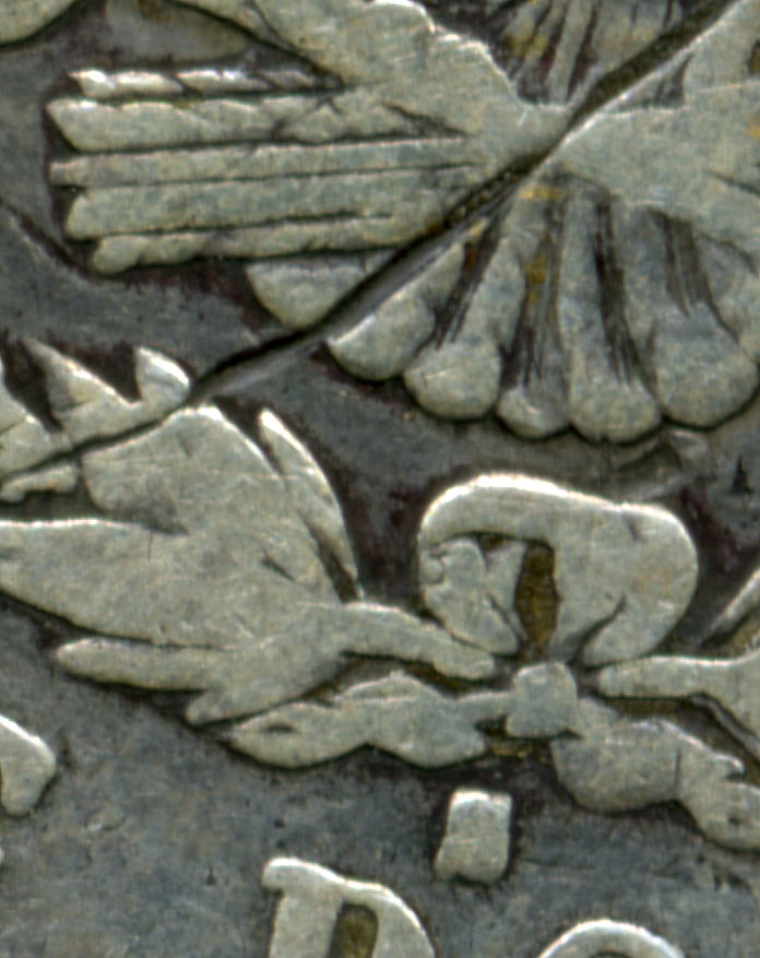 1878-S--Looking-For-Confirmation