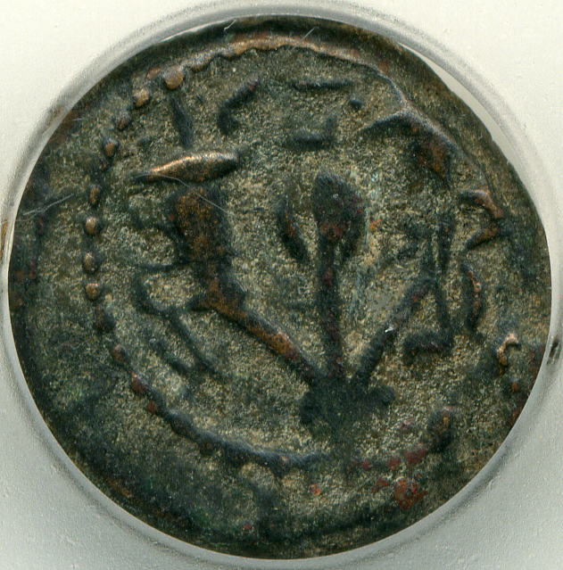 Palestinian-Coin