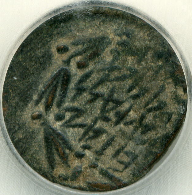 Palestinian-Coin