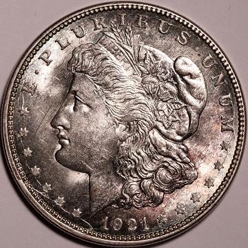 Retained-Cud-Study---1921-D-VAM-1-H