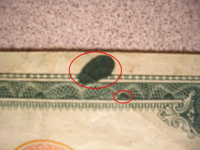 My-First-Error-Note!
