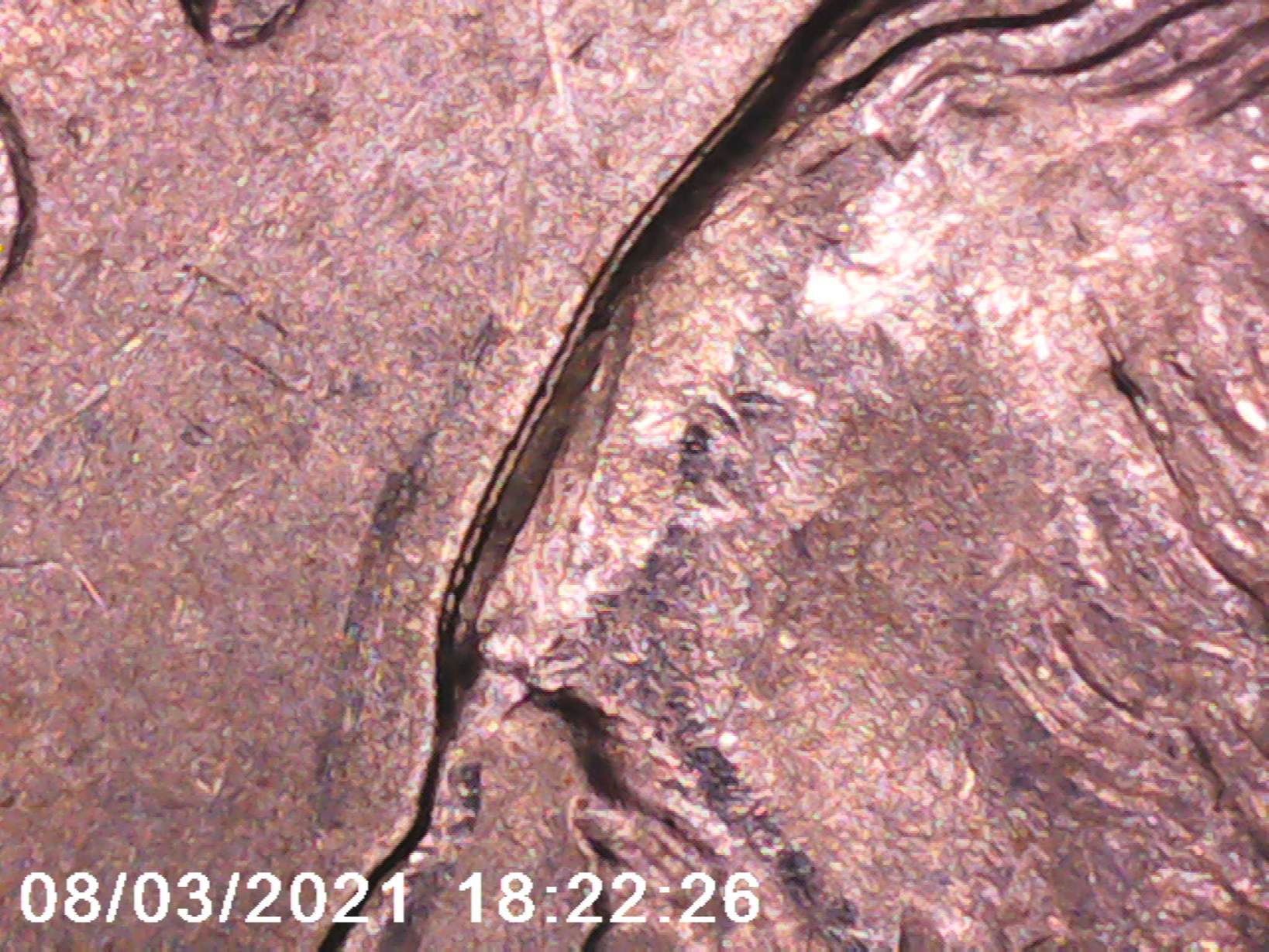 1999-P-Georgia-State-Quarter-Errors?