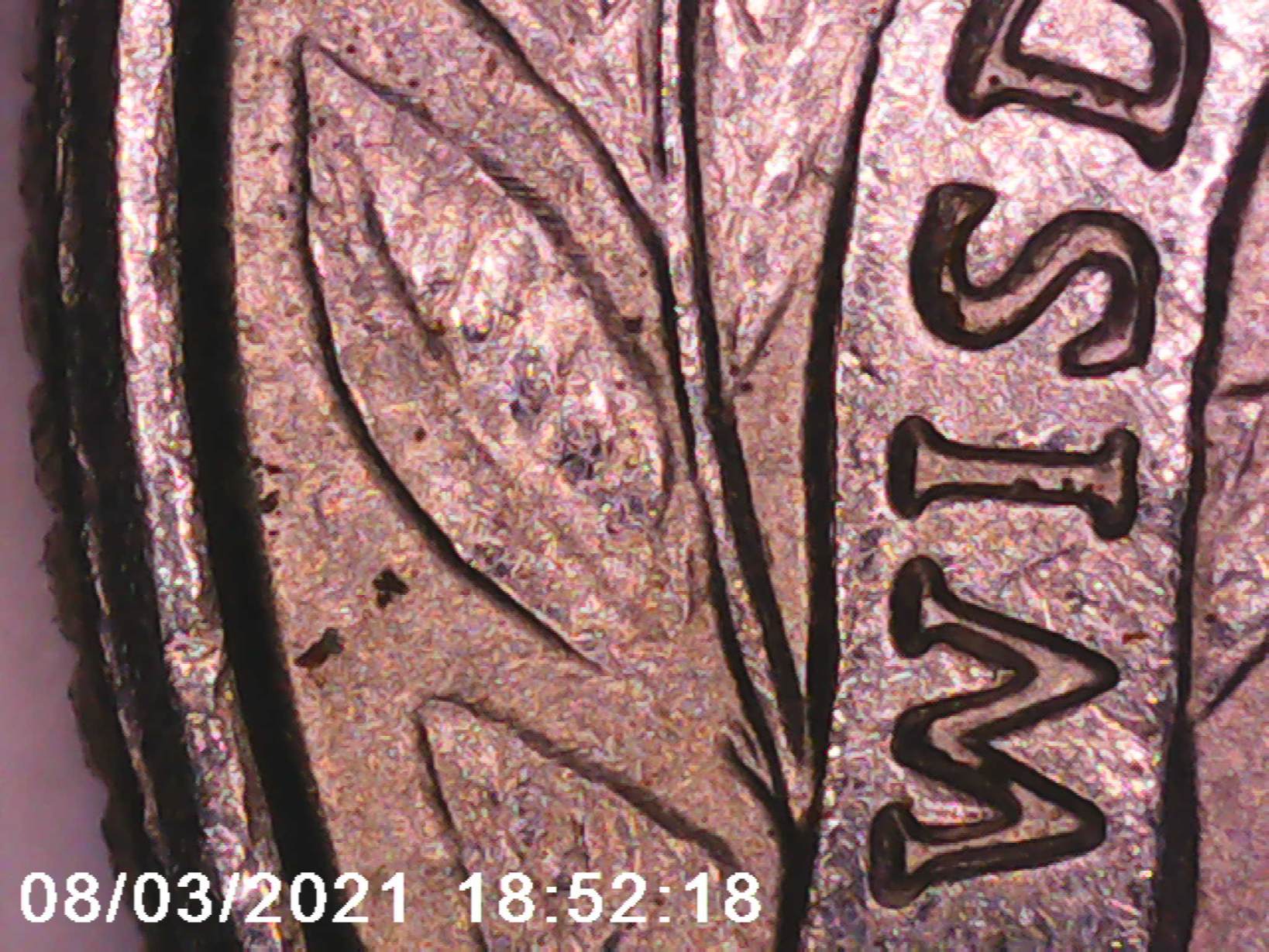 1999-P-Georgia-State-Quarter-Errors?