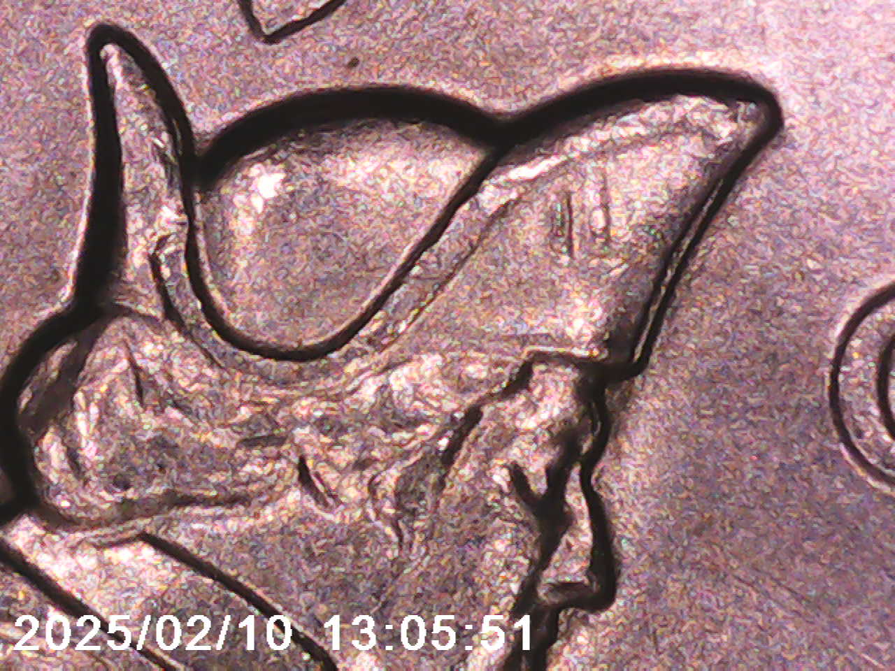 Have-Two-2021-P-Quarter-Crossing-The-Delaware---Cracked-Sword-W/-Doubled-Date-|-DDR-W/-Doubled-Date