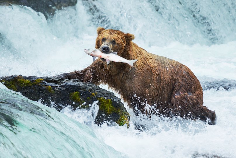 2005-2006-National-Park-Series