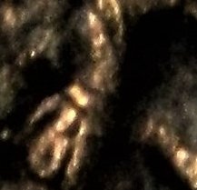 1982-Error-Penny-With-Stamp-On-Face-Need-To-Know-Something-About-It