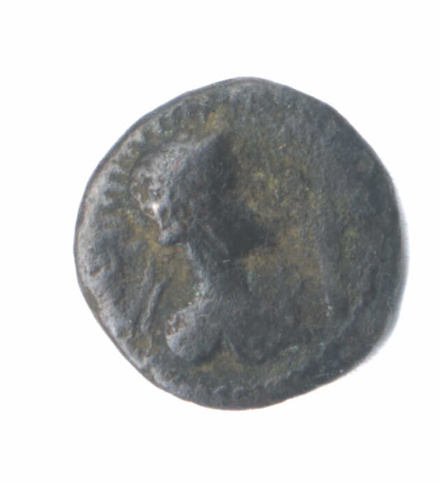 Need-Help-With-Ancient-1