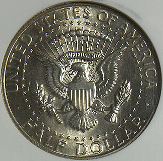 Loon-$-Struck-Through-Round-Washer