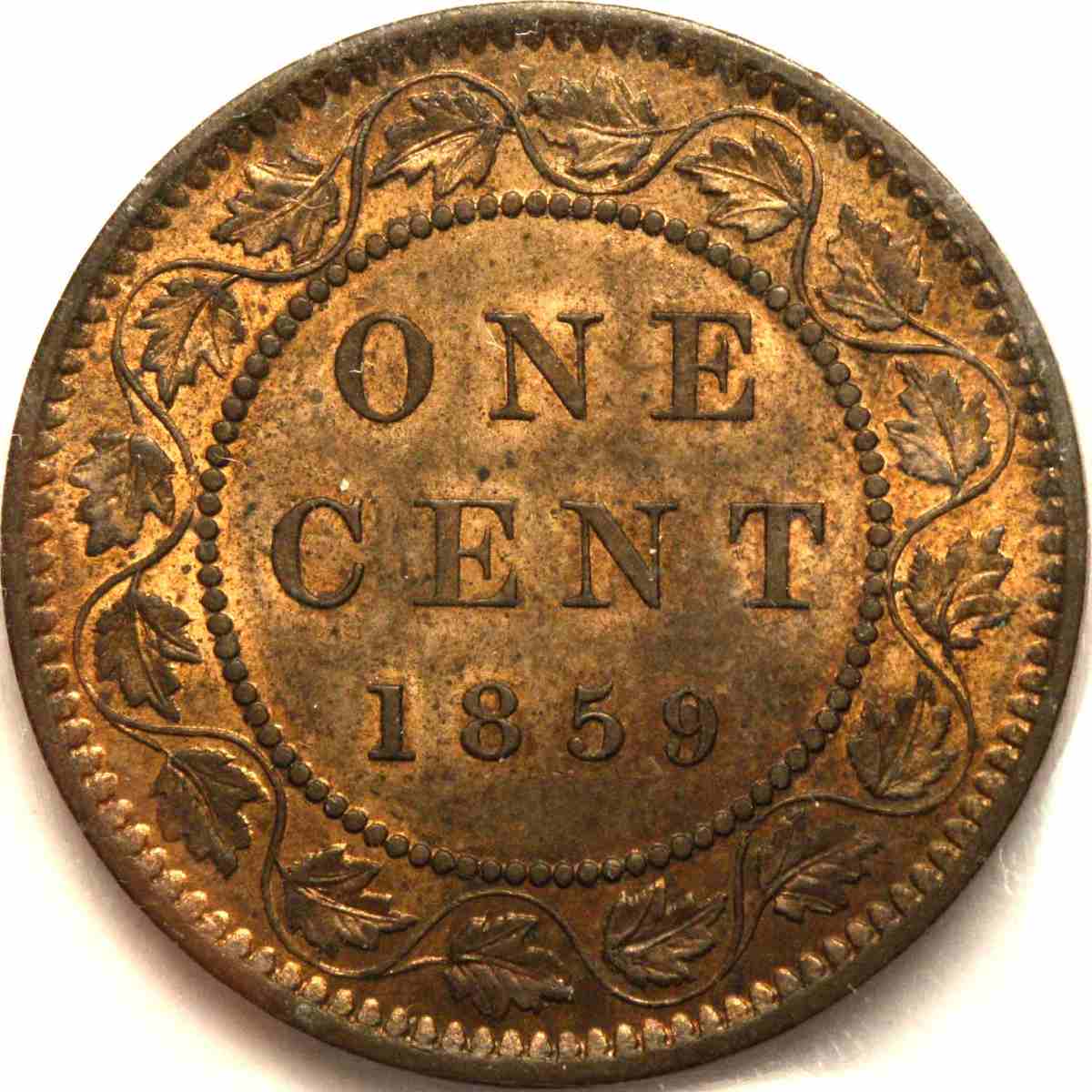 40-Days-Of-Canada-Large-Cents-1858-1920
