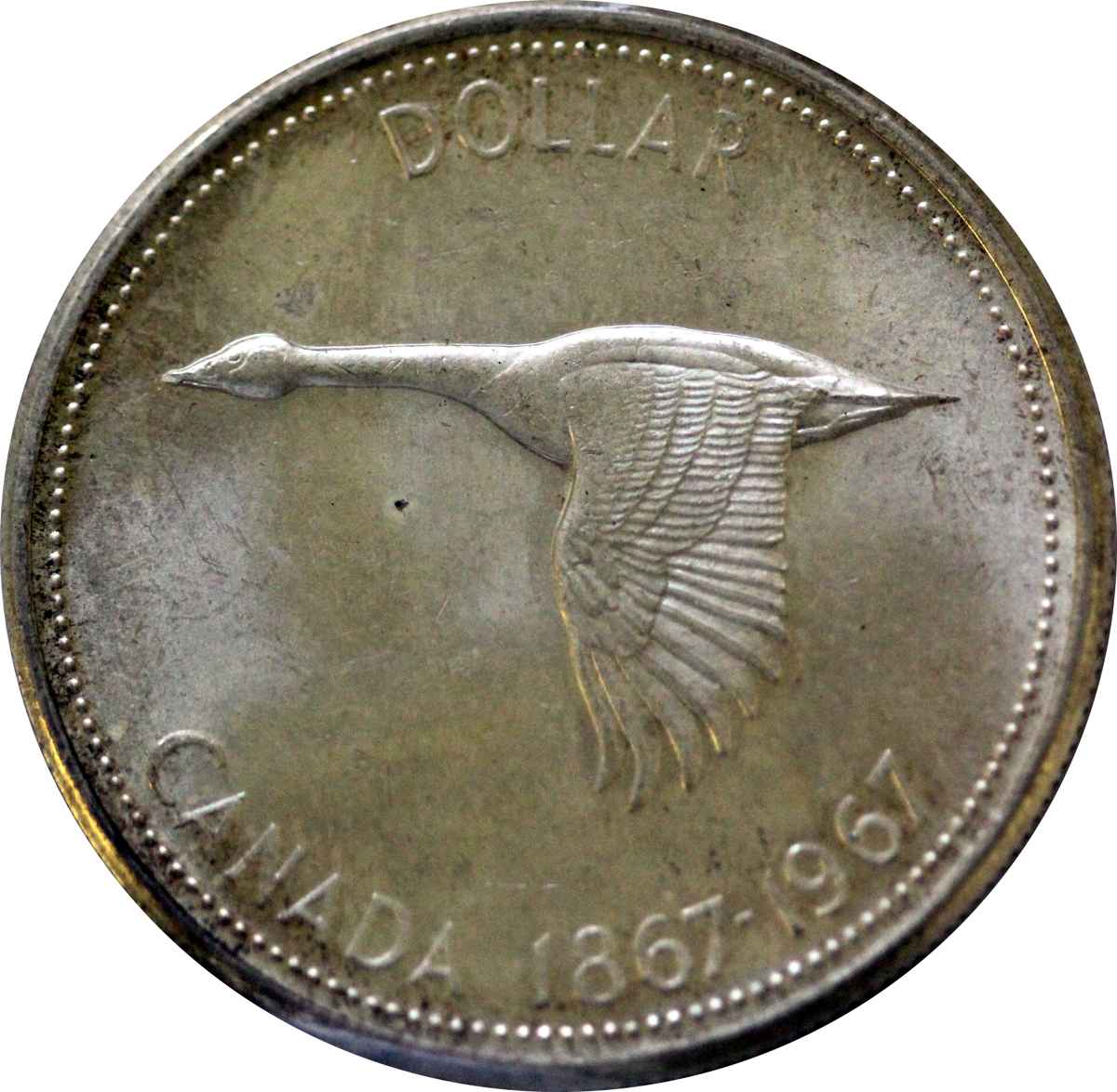 28-Days-Of-Canada-Silver-Dollars-1935-1967